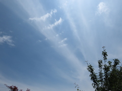 今日の空