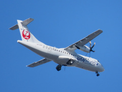 One World はピッカピカ！