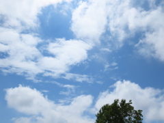 ようやく晴れてきました！