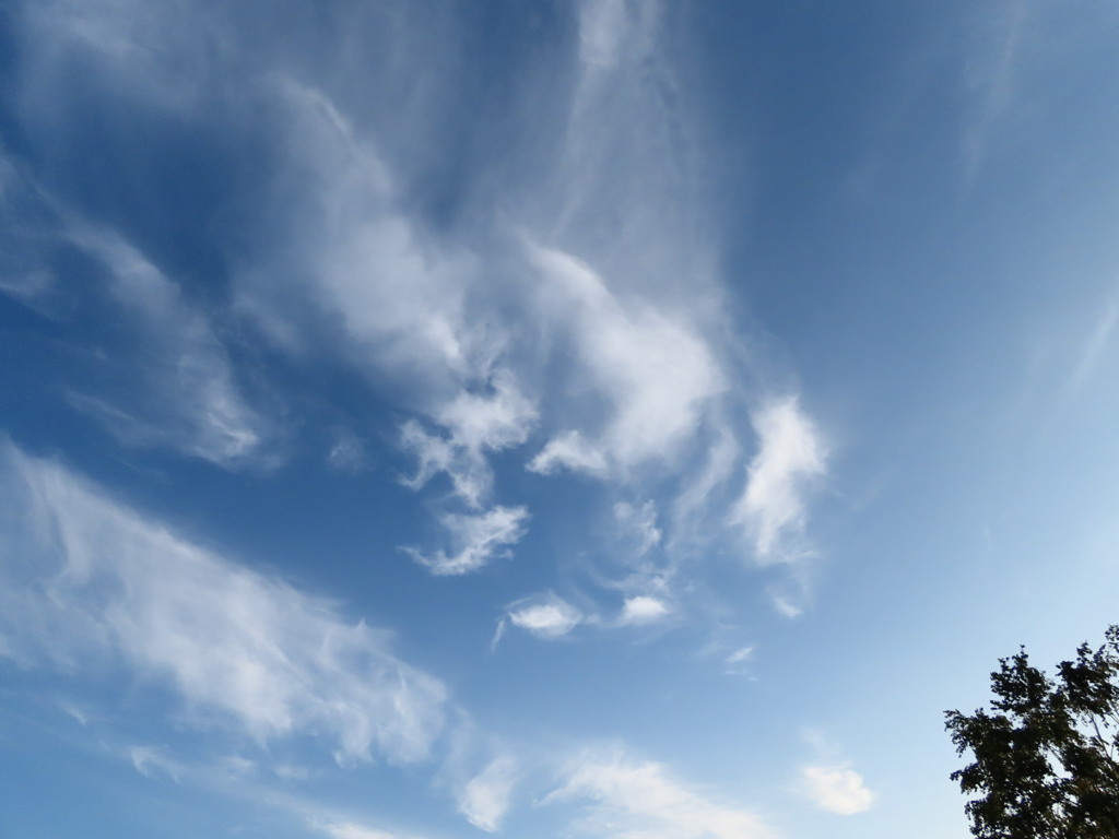 夏空
