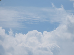 モクモクと筋筋