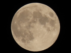 ストロベリームーン・ラスト