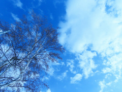 青空が気持ちいい♪