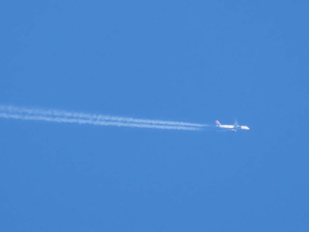 遠くに飛行機だぁ〜！