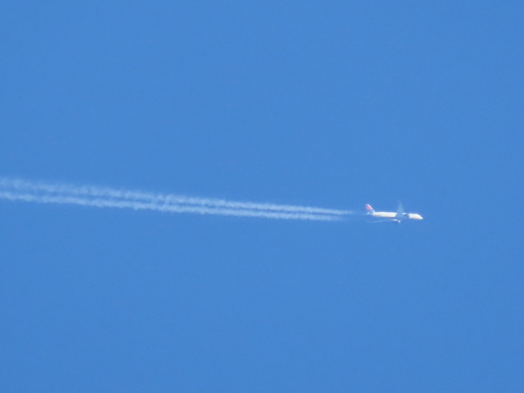 遠くに飛行機だぁ〜！