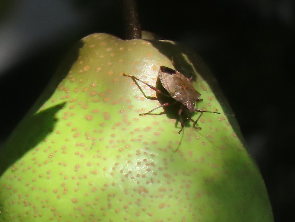 と思ったら、、