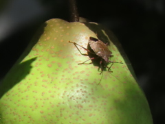 と思ったら、、