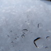 雪に激突！