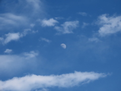 青空と雲とお月様。