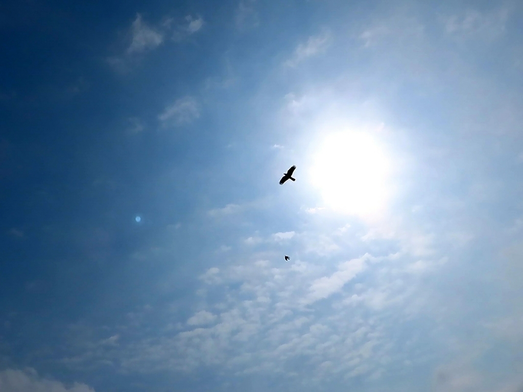 春の空