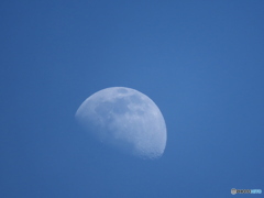 上弦の月