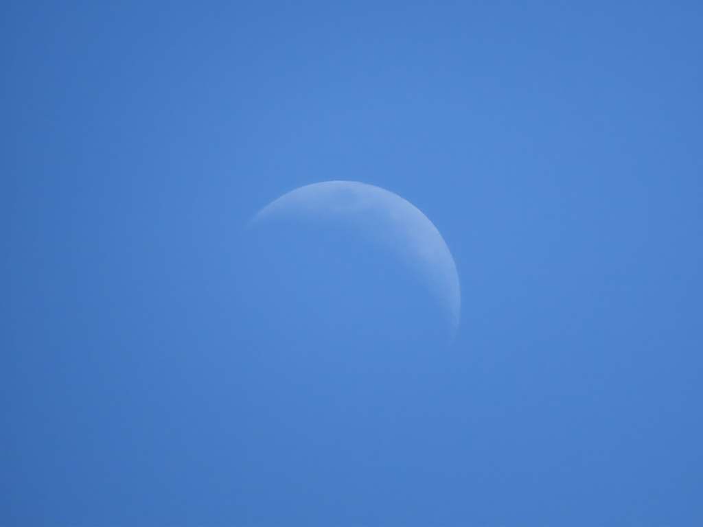 今日の空〜月出てた！