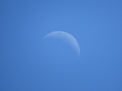 今日の空〜月出てた！