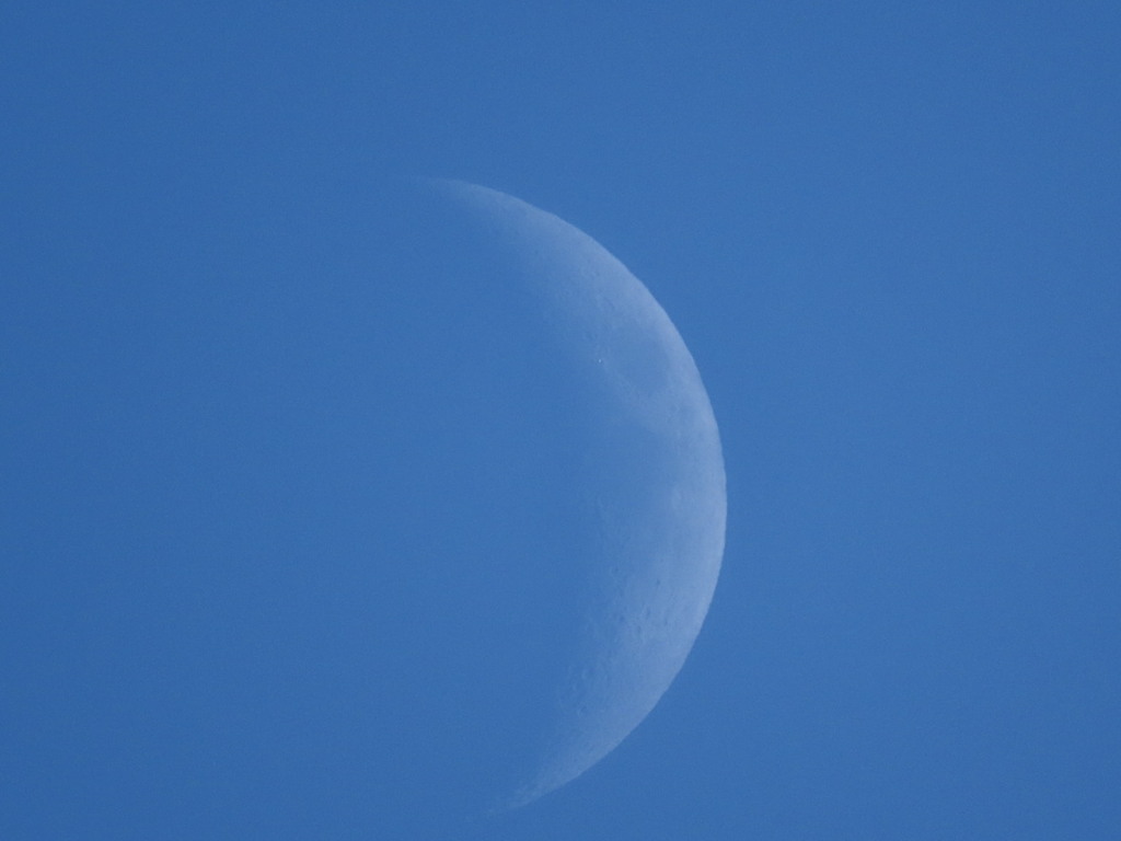 イマツキ