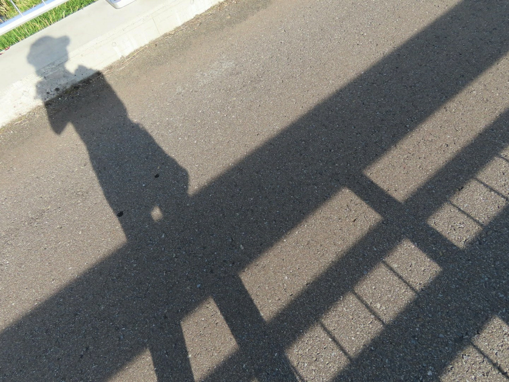 シルエット。
