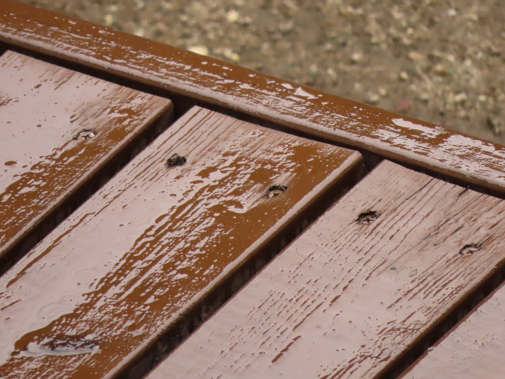 今日は小雨混じりで寒い日じゃ！