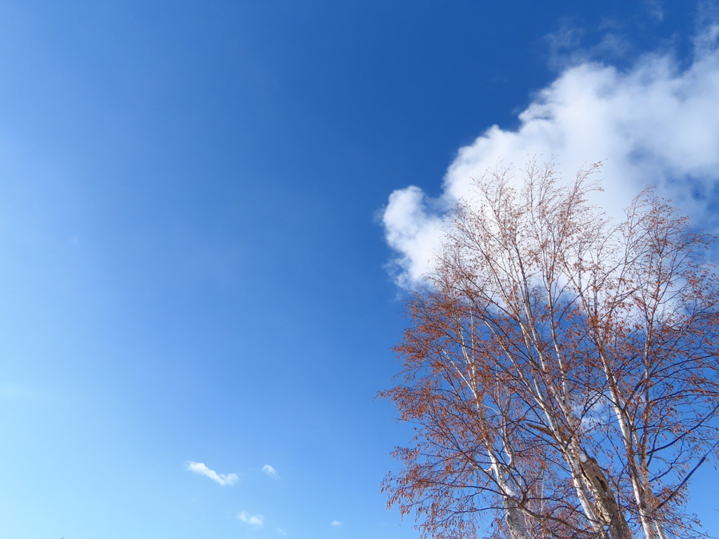 冬の青空