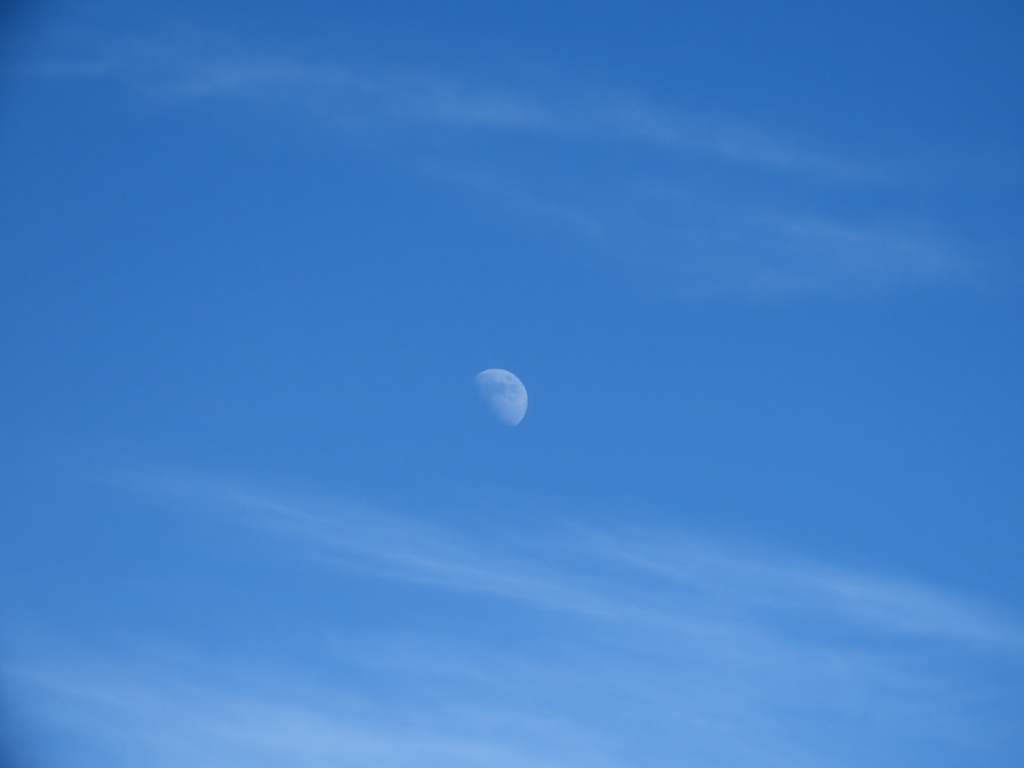 今日の空と上弦の月
