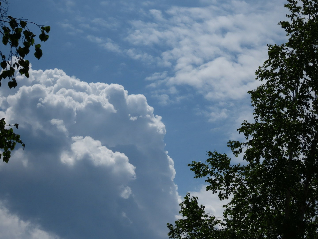 夏っぽい雲