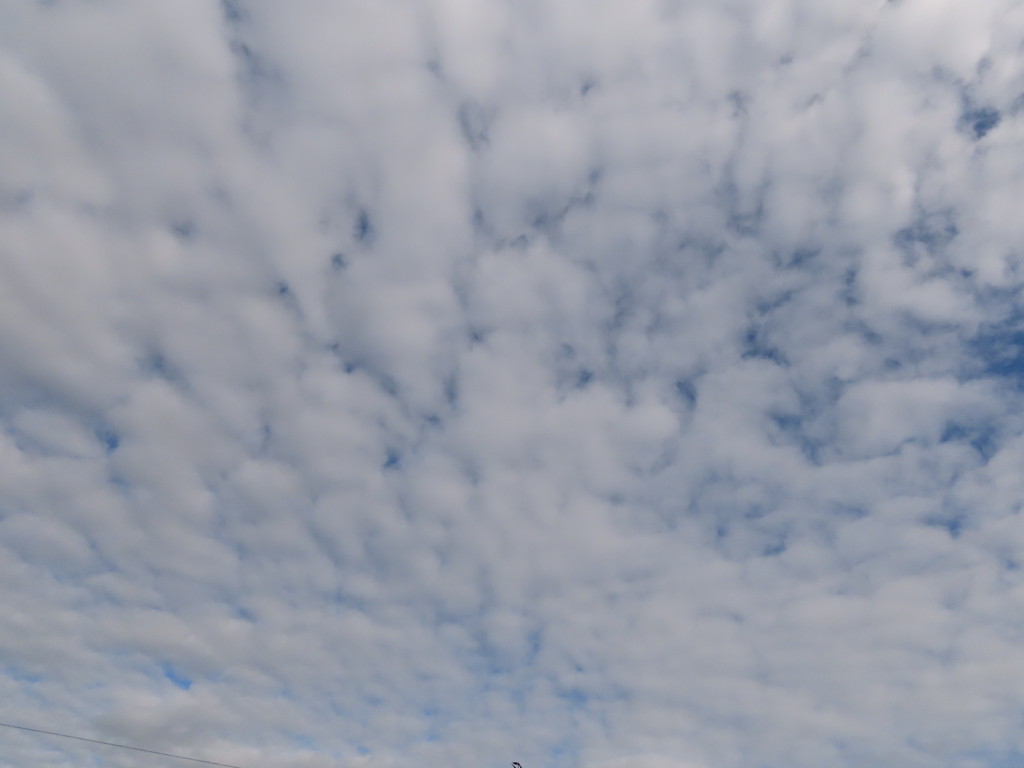 今日の空。