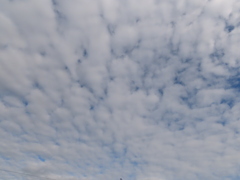 今日の空。