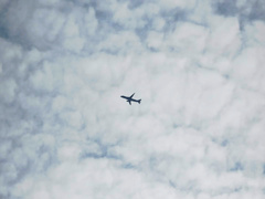うろこ雲と飛行機