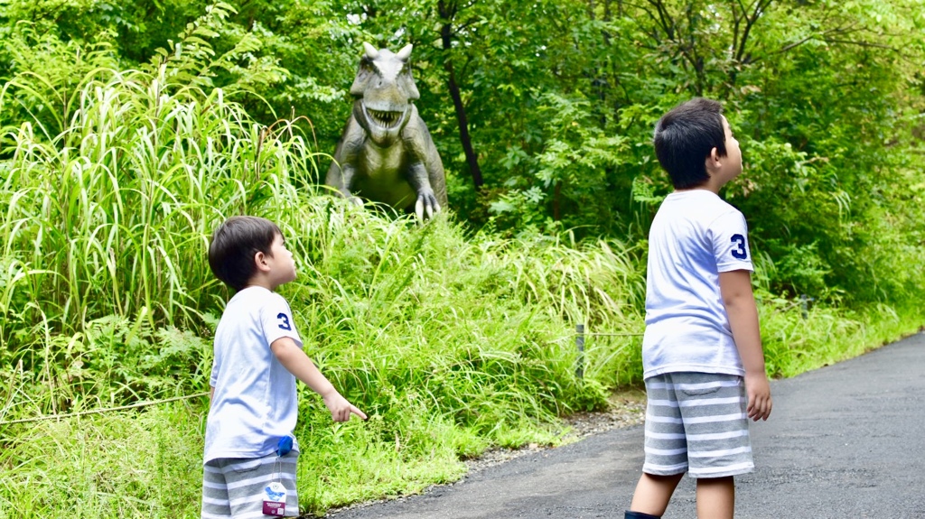 そっちじゃない！