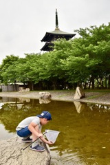 何がとれたかな？