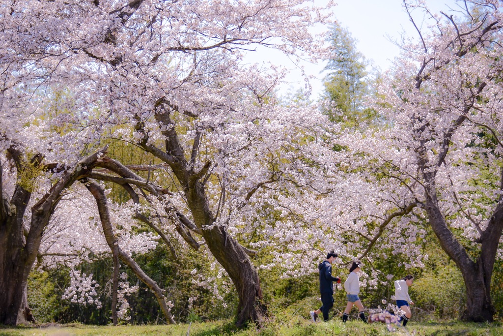 春、駆け巡る親子