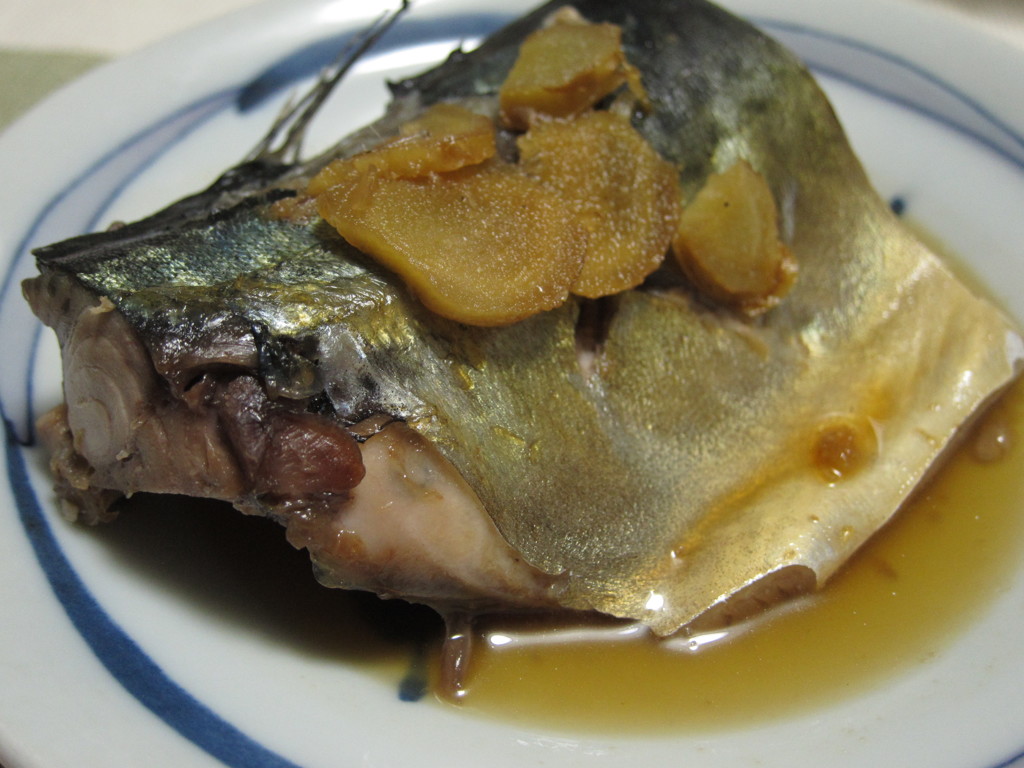 鯖の煮物　サバ煮