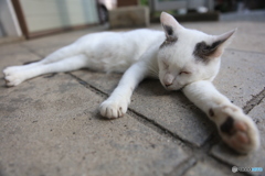お休み中