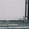 ねこ。