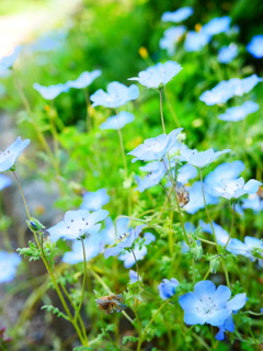 8560C16B-406F-4763-A38D-892DED707BFC