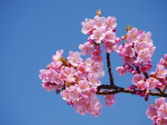 87810F1D-0A0C-4C74-83BD-E5FB2DA60EE8