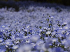 449D6A9D-2594-438F-8626-96DD8C889681