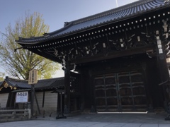 D3554C37-D1F0-4C29-9350-49C8EAB1A0DB