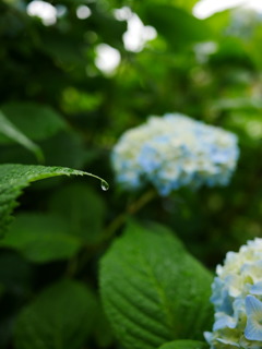 1C634A65-6DD3-4697-8D10-0F470DDCB4AE