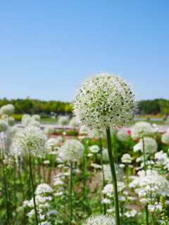 0BB924E2-F1A8-41D4-B662-CC9171777D6E