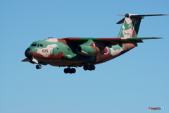 C-1 着陸体勢