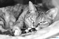  眠くなったぁ～？  
