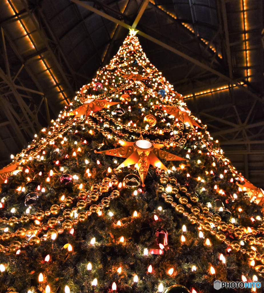 TDLクリスマスの装い風景  1067