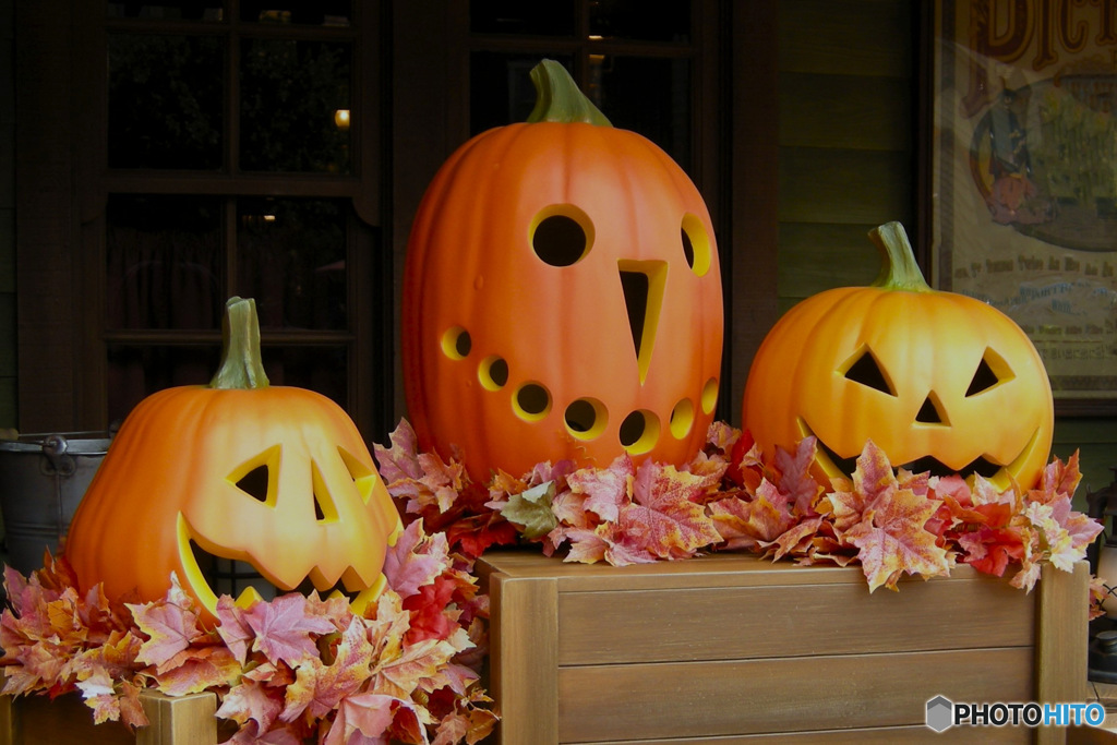 2015年10月 ハロウィン  カボチャ三兄弟