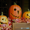 2015年10月 ハロウィン  カボチャ三兄弟