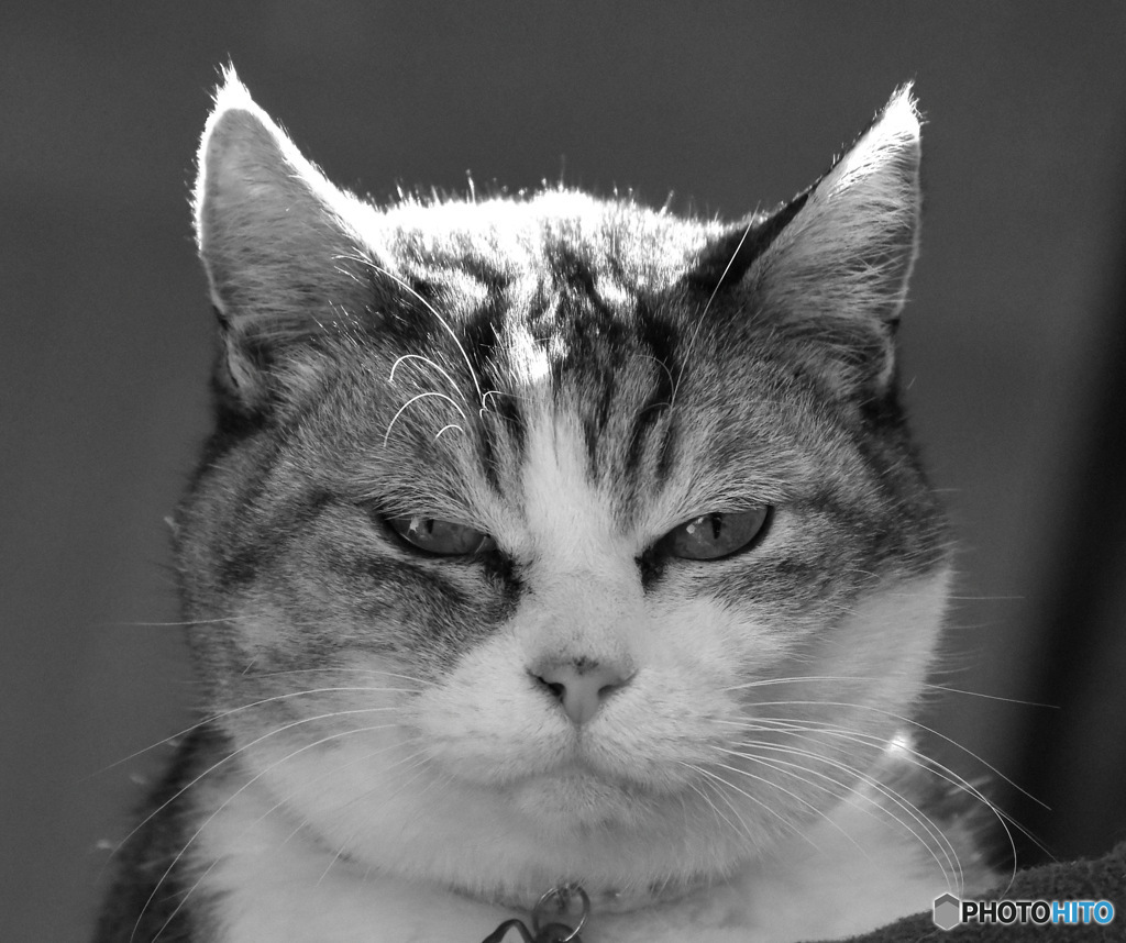 Happy Halloween もも