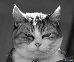 Happy Halloween もも Happy Halloween もも