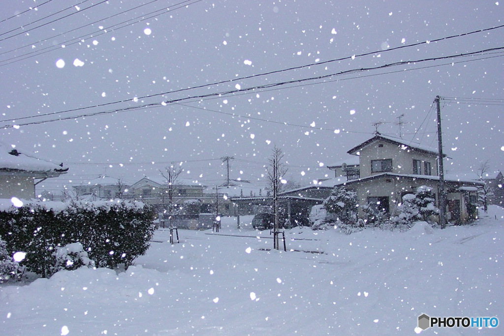 大雪警報です