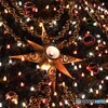 2017年 クリスマス飾り  591