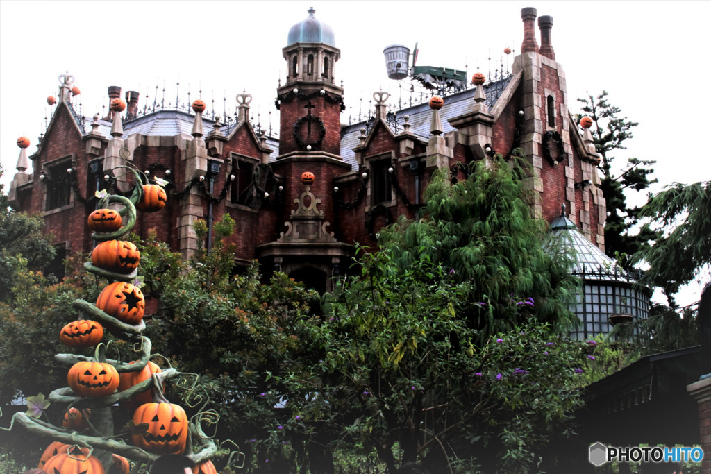 2008年10月 思い出のハロウィン風景