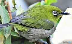 昨日は一日中冷たい雨だったね 22-220