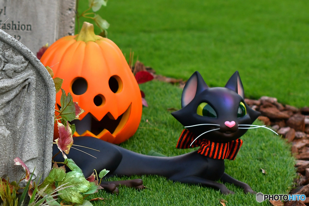 毎年お馴染みのハロウィン風景    